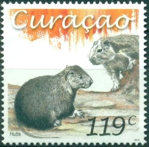 Hutia sp.