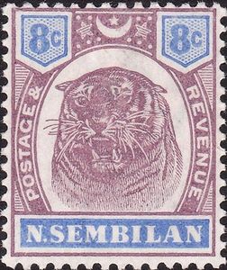 Tiger (Panthera tigris)