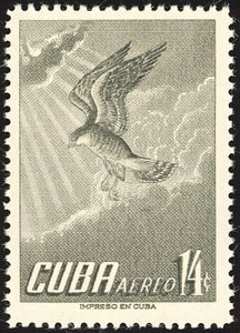 Stamp Gundlach's Hawk (Accipiter gundlachi) (Cuba(Endemic birds) MiCU