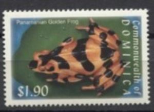 Panamanian Golden Frog (Atelopus zeteki)