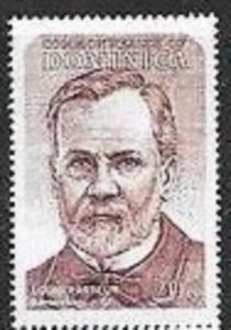 Louis Pasteur, father of bacteriology