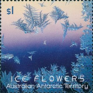 Purple-blue Ice Flower Embossed With Foil Application