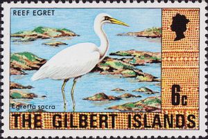 Reef Egret (Egretta sacra)