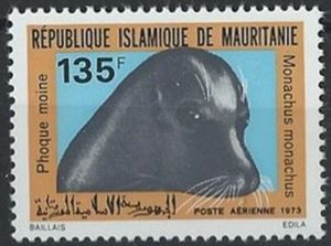 Seal (Monachus monachus)