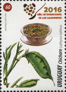 International Year of Pulses