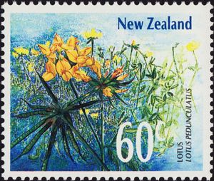 Lotus (Lotus peduncularis)