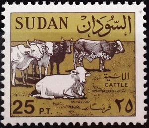 Cattle (Bos primigenius indicus) Herd