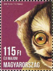 Azara's Night Monkey (Aotus azarae)