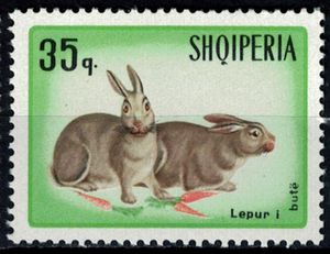 Stamp: Domestic Rabbit (Oryctolagus cuniculus f. domestica) (Albania ...