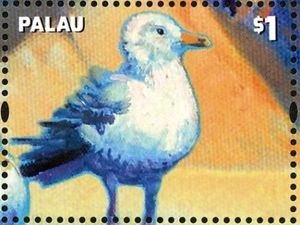 Ring-billed Gull (Larus delawarensis)