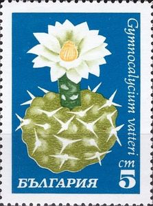 Gymnocalycium vatterii