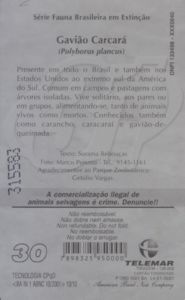 Gavião Carcará - 10/10