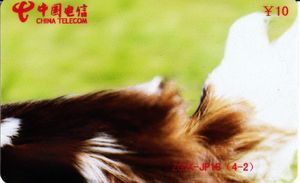 FAKE - FALSA - Dog Puzzle 4 - 2/4