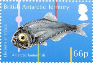 Briefmarke: Antarctic Lanternfish (Electrona antarctica) (Britisches