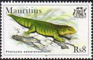 Rodrigues Day Gecko (Phelsuma edwardnewtoni)