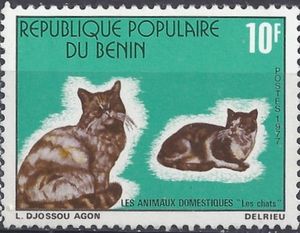 Domestic Cat (Felis silvestris catus)