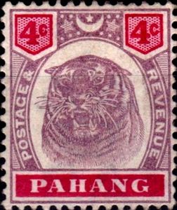 Tiger (Panthera tigris)