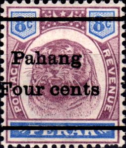 Tiger (Panthera tigris)