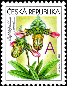 Greeting-Stamp Motif - Orchids - A