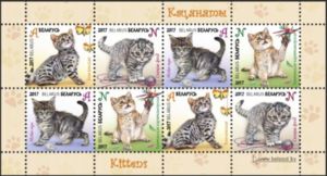 Kittens (Felis silvestris catus)