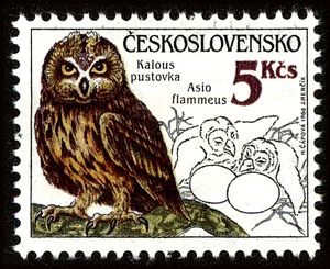 邮票: Short-eared Owl (Asio flammeus) (捷克斯洛伐克(Owls) Mi:CS 2879,Sn:CS 2624 ...
