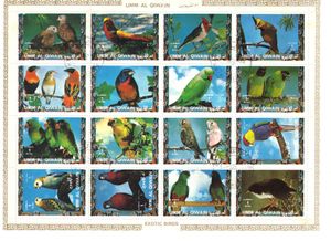 Birds: parrots and finches