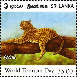 Sri-Lanka World Tourism Day - Wild