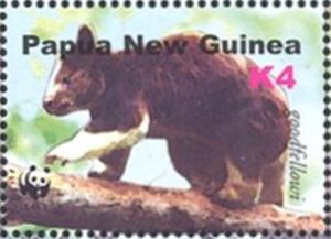 Goodfellow's Tree Kangaroo (Dendrolagus goodfellowi)