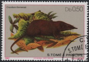 Známka Crocidura Thomensis (Svatý Tomáš a Princův ostrov(Mammals) Mi