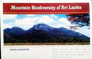 Ritigala Mountain