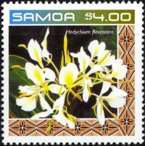 Hedychium flavescens