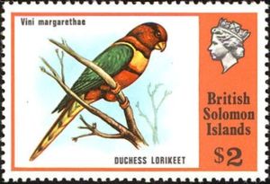 Duchess Lorikeet (Vini margarethae)