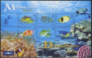 Damselfish
