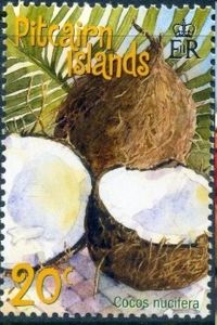 Coconut (Cocos nucifera)