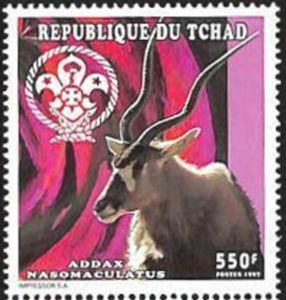 Addax nasomaculatus