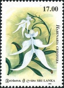 Stamp: Habenaria crinifera (Sri Lanka(60th Anniversary of Orchid Circle ...