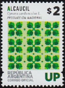 Alcaucil (artichoke) - Cynara cardunculus