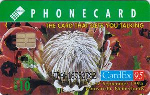 CardEx 95 - Protea Flower