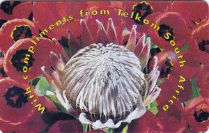 CardEx 95 - Protea Flower
