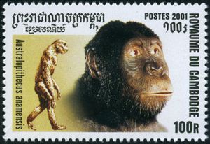 Australopithecus-amanensis.jpg