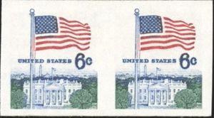 Flag and White House