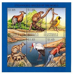 Endangered Species of the World