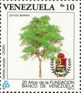 Cedro (Cedrela odorata)