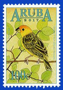 Saffron Finch (Sicalis flaveola)