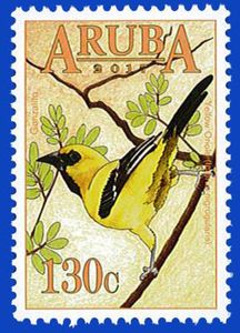 Yellow Oriole (Icterus nigrogularis)