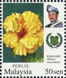 Hibiscus rosa-sinensis