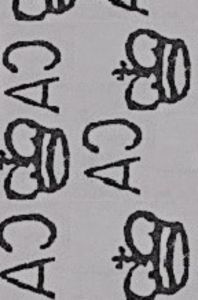 Dendrobium Rose Marie