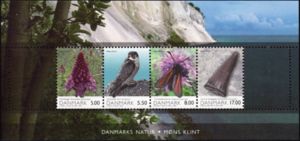 Orchid, Peregrine Falcon, Transparent Burnet & Fossile Tooth