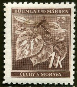 Linden tree branch with blossoms