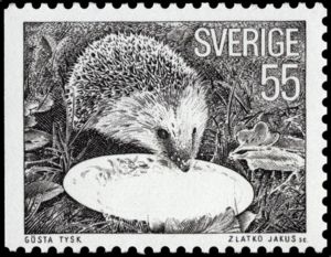West European Hedgehog (Erinaceus europaeus), Butterfly